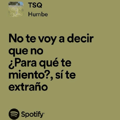 🎧 letras de canciones Vol.2 10