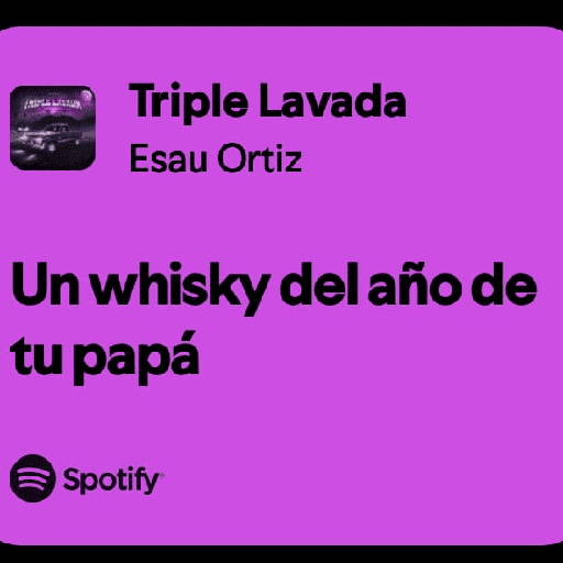 🎧 letras de canciones Vol.2 16