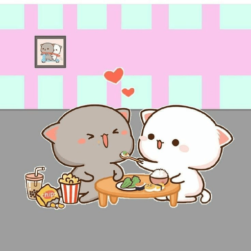 Gatito 13