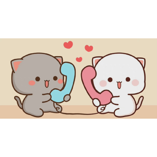 Gatito 16
