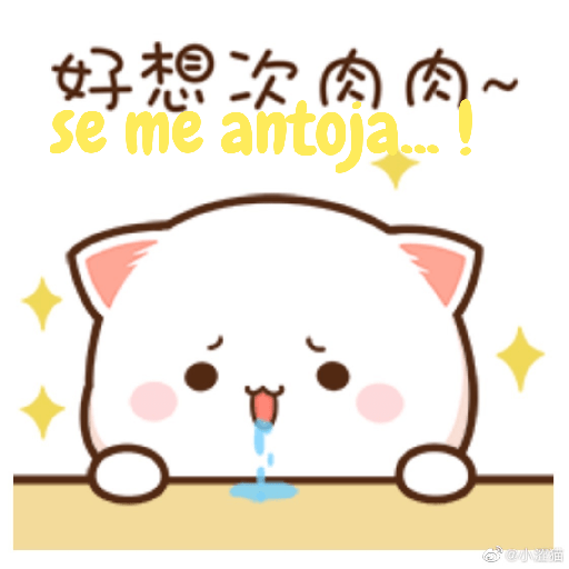 Gatito 15