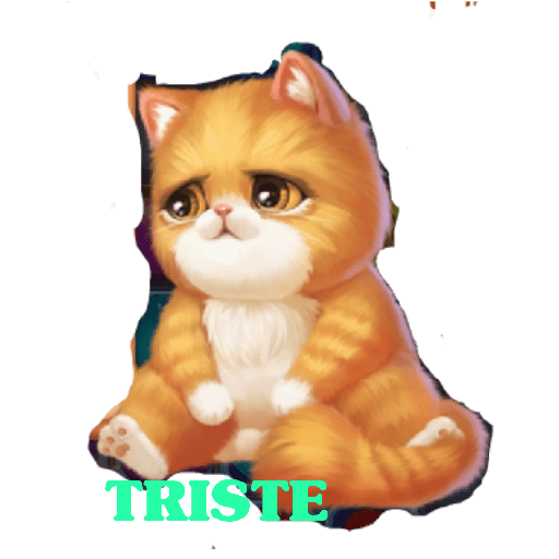 Gatito 11