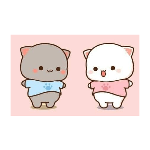 Gatito 5