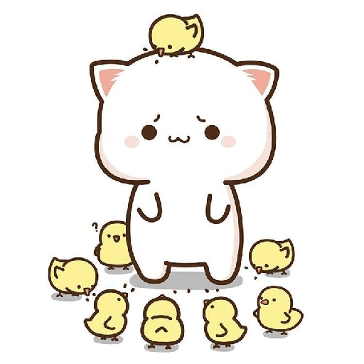Gatito 8