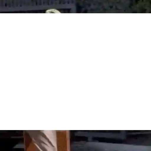 The office 8