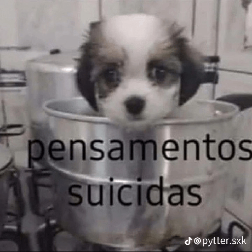 Kskhsanhs 9 21