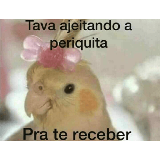 Paquera 24