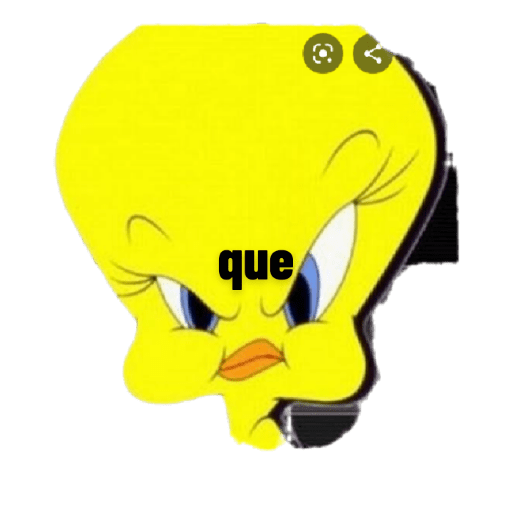 Para amigas 26