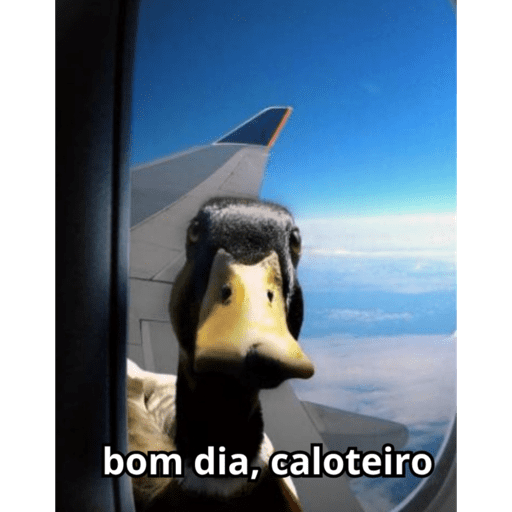 Figurinhas 28