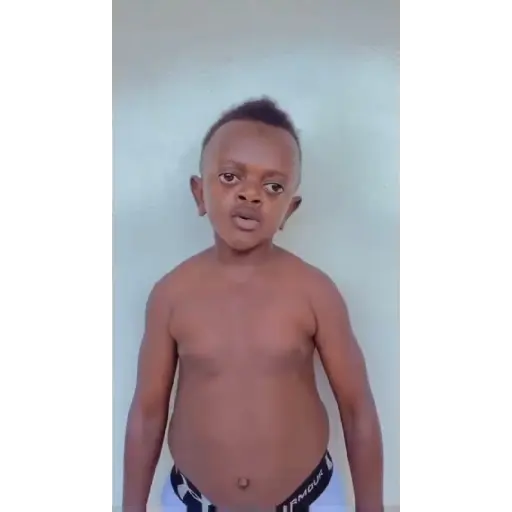 Gif 26