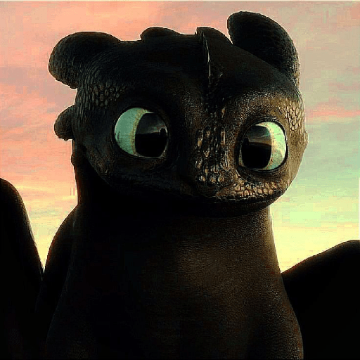 Chimuelo / toothless 9