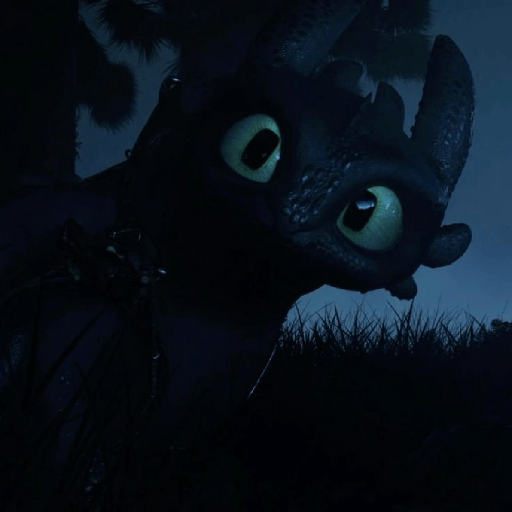 Chimuelo / toothless 8