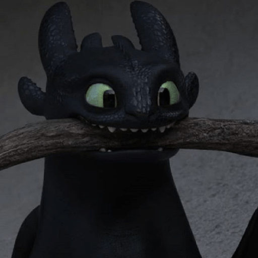 Chimuelo / toothless 4
