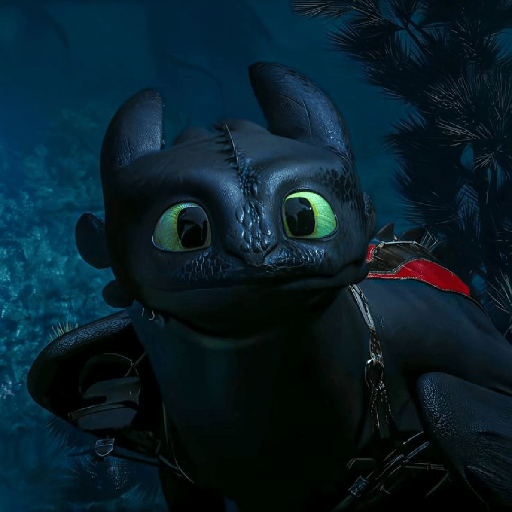 Chimuelo / toothless 6