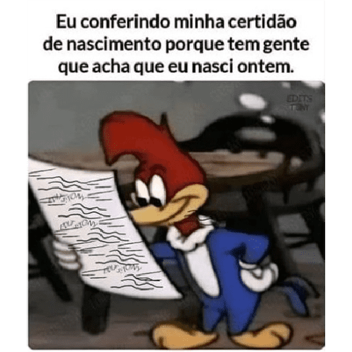 Novos 6