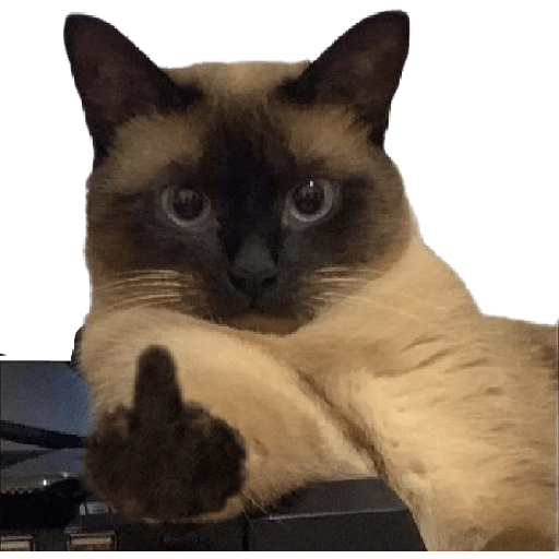 Gatos 3 18