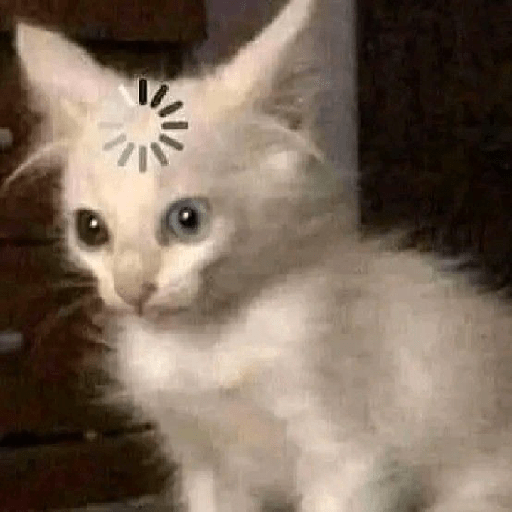 Gatos 3 12