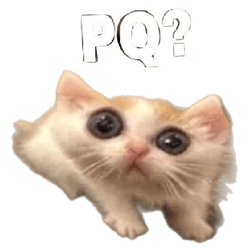 Gatos 3 11