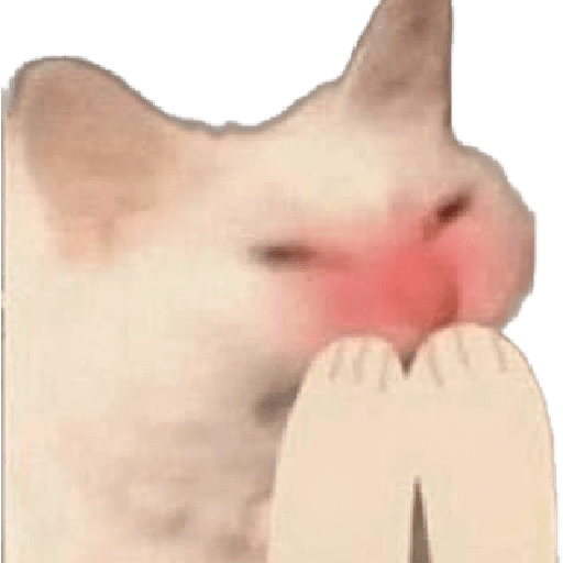 Gatos 3 8
