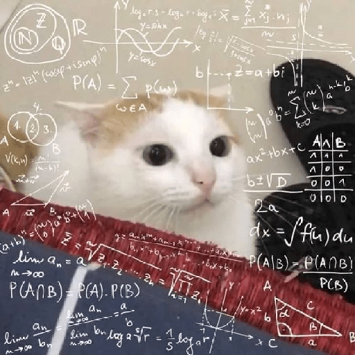 Gatos 3 1