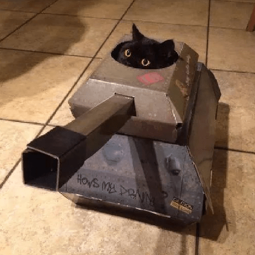 Gatos 3 22