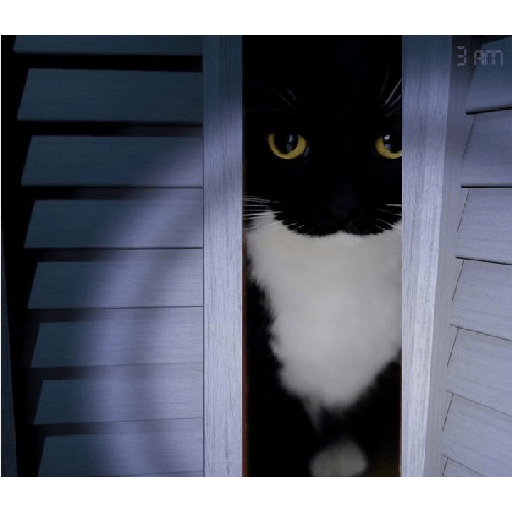 Gatos 3 23