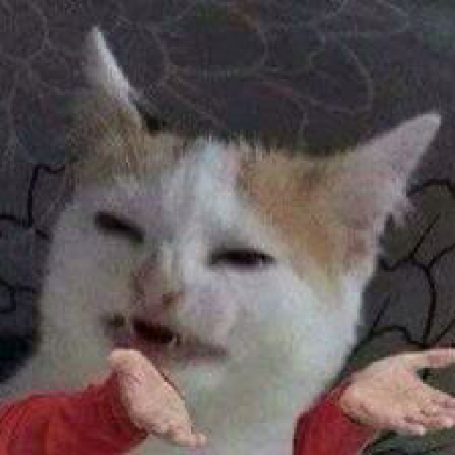 Gatos 3 28