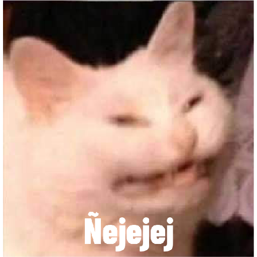 Gatos 3 21
