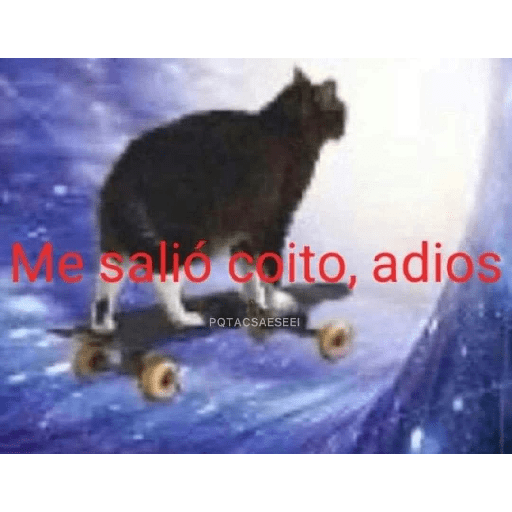 Memesitos 4