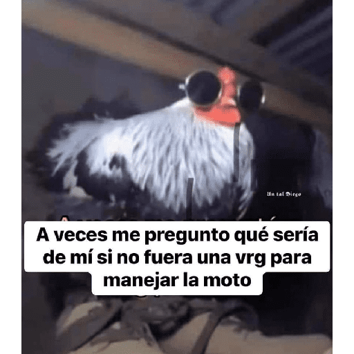 Memesitos 20