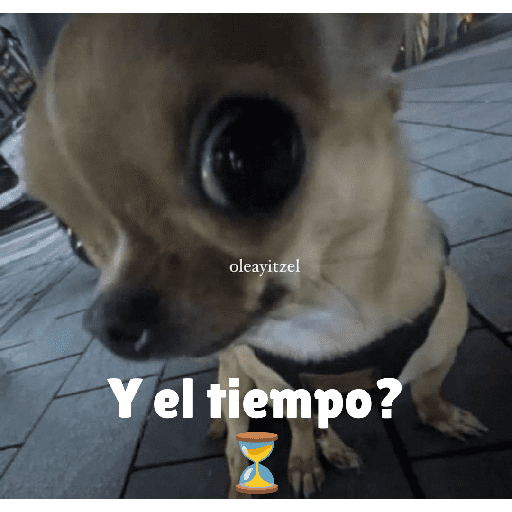 Memesitos 24