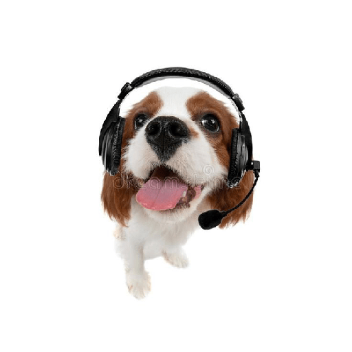 Perritos  4