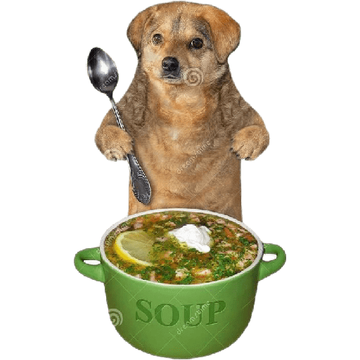 Perritos  5