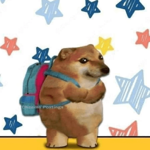 Perritos  6