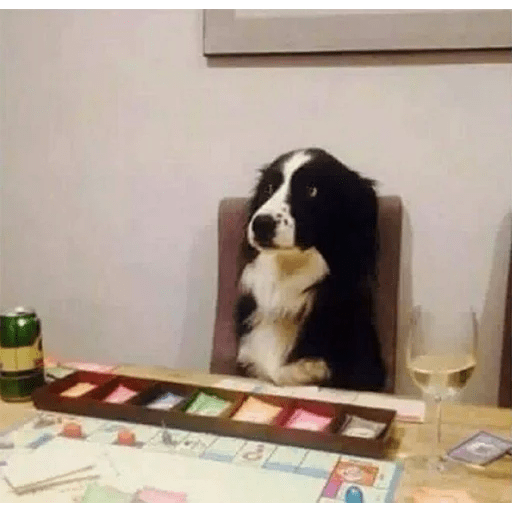 Dogs 25