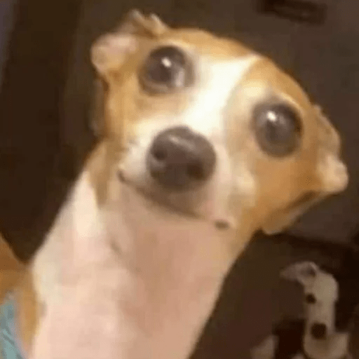 Dogs 9