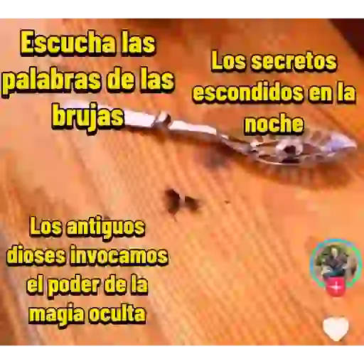 Apalkitas 2 2