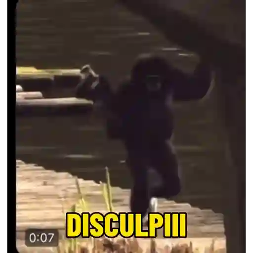 Apalkitas 2