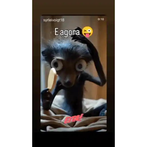 Fim de semana 6
