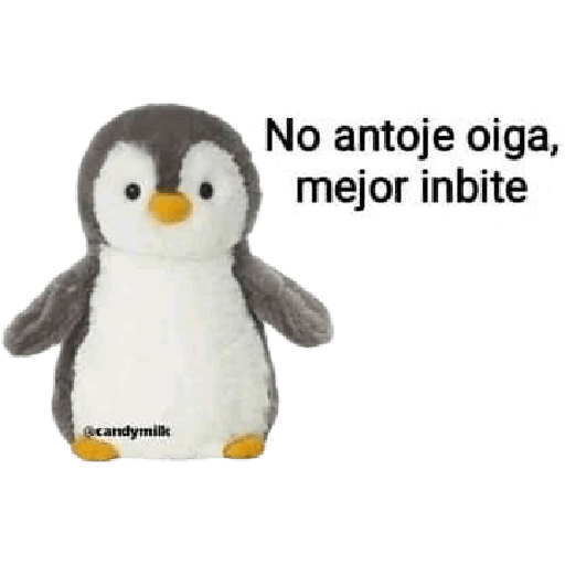 SI LEES ESTO, ERES GEI  29