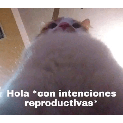 SI LEES ESTO, ERES GEI  20