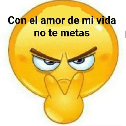 SI LEES ESTO, ERES GEI  12