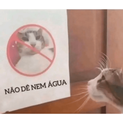 Mood de hoje 29