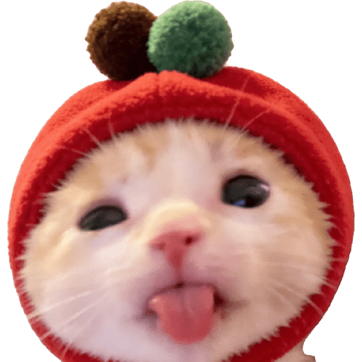 Expressive Kitty 27