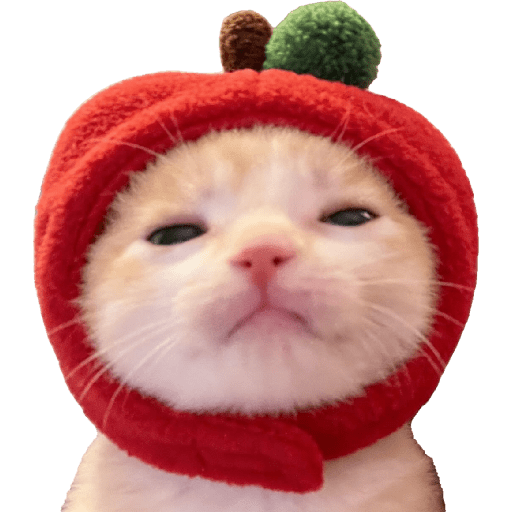 Expressive Kitty 25