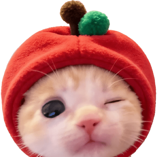 Expressive Kitty 23