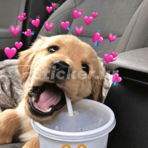 Sticker Image