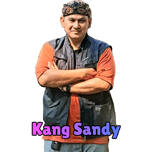 Me sandy 8