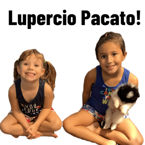 Figurinhas 2 7
