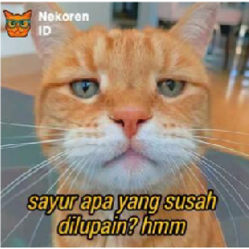 Stiker kucing cute 23